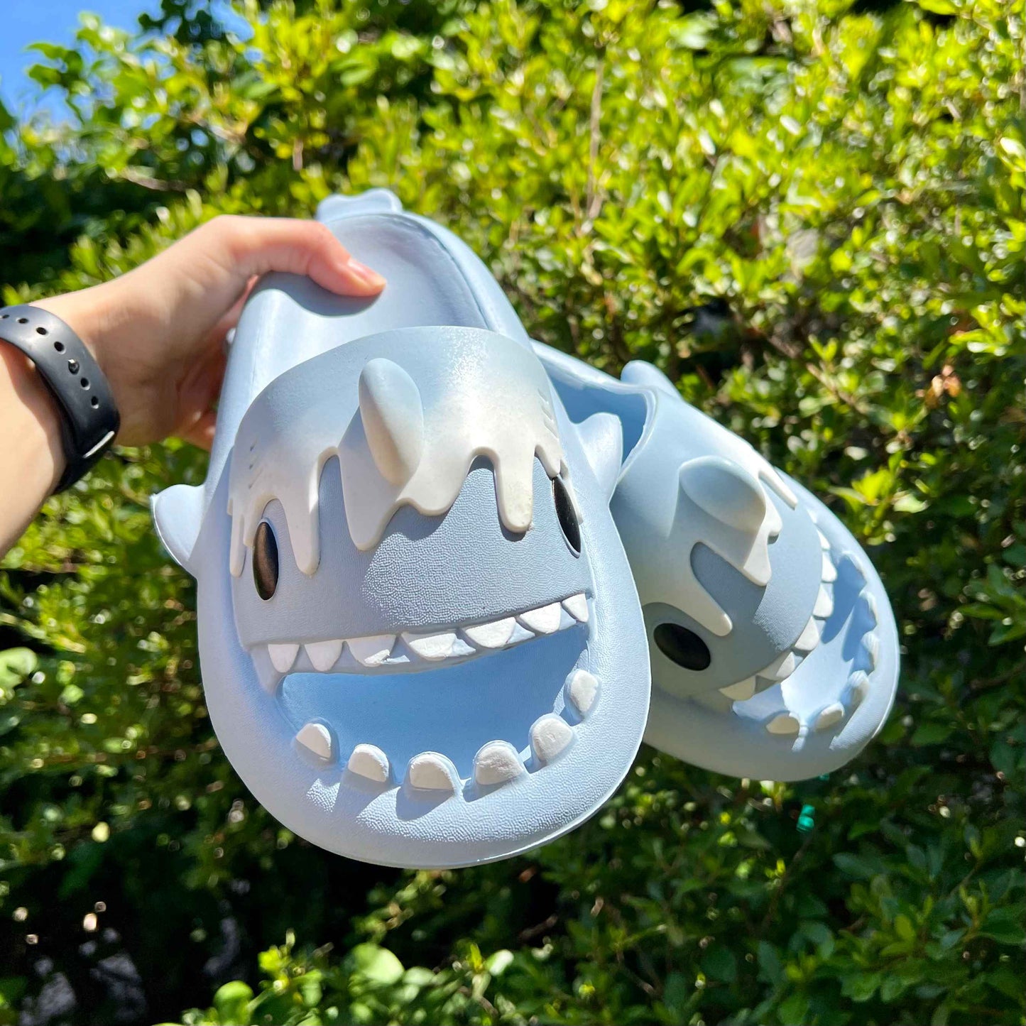 SHARKMO - Edición limitada